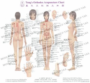 Tung’s Body Chart